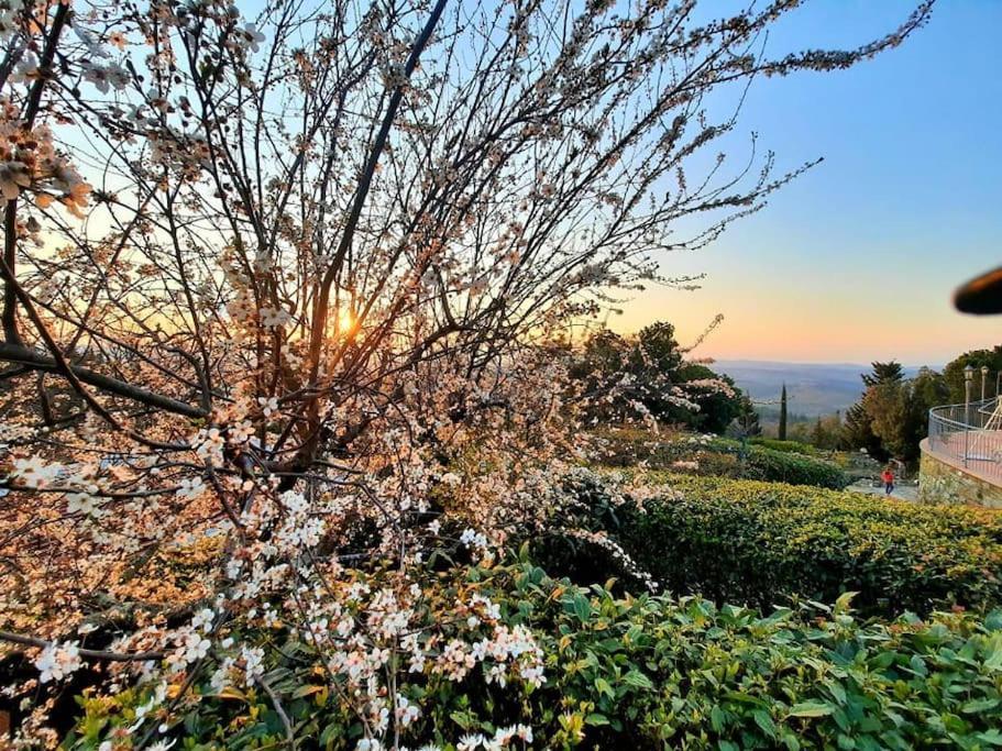Villa Tutti I Colori Del Chianti Linari Luaran gambar