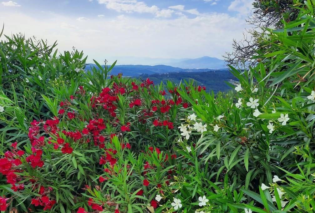Villa Tutti I Colori Del Chianti Linari Luaran gambar